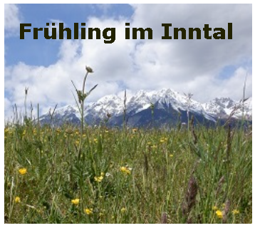 Screenshot Heller Himmel über grüner Wiese. Über dem Himmel der Schriftzug: Frühling im Inntal in dunkelgrüner Farbe.